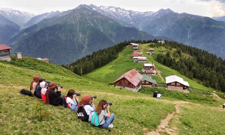 Pokut Yaylası Zilkale Şenyuva